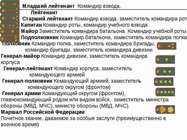 Правовая база: Военное законодательство и обязанности заместителя командира полка