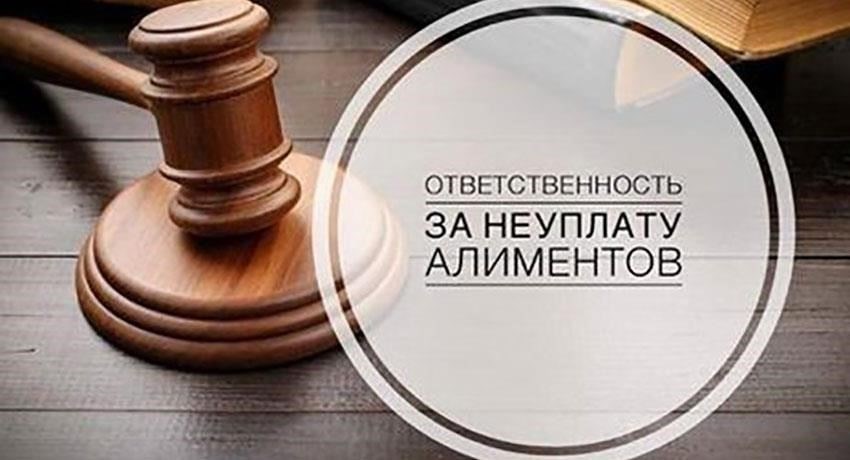 Штрафы за неуплату алиментов
