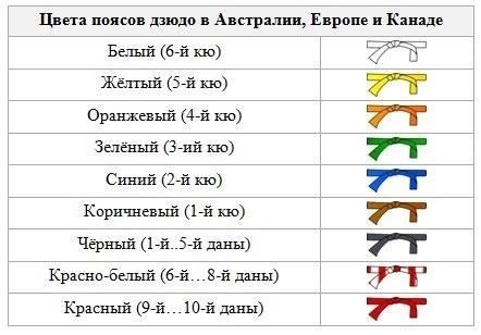 Значение каждого пояса дзюдо: Что символизируют цвета?