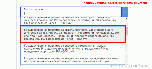 Как оплатить госпошлину за загранпаспорт