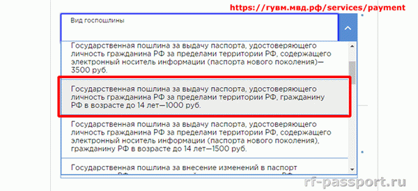 Как оплатить госпошлину за загранпаспорт