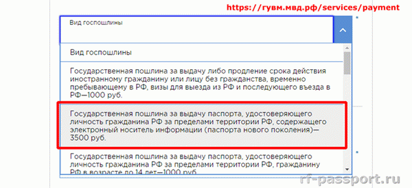 Как оплатить госпошлину за загранпаспорт