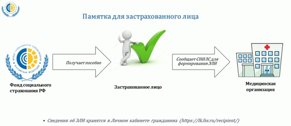 На какой срок можно взять больничный без увольнения с работы