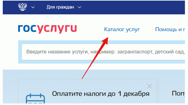 Как поменять загранпаспорт после смены фамилии через МФЦ в 2025 году