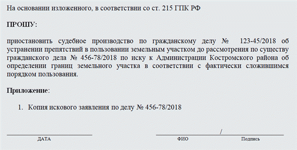 Заявление о приостановлении производства по делу. Часть 2